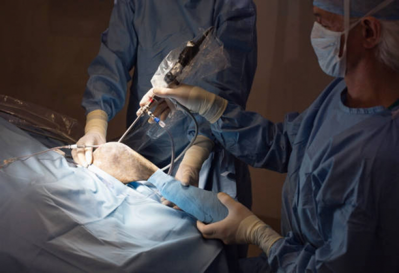 Cirurgia de Castraçao de Cachorro Taboão - Cirurgia Ortopédica Veterinária