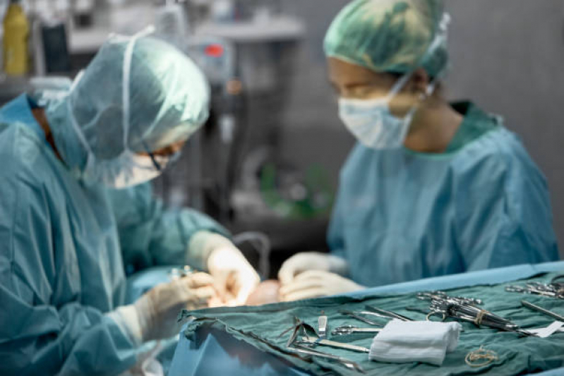Cirurgia Oncologica Veterinaria Marcar Barra Funda - Cirurgia em Animais de Pequeno Porte