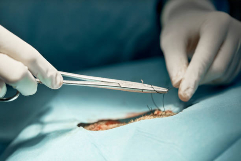 Cirurgia Oncologica Veterinaria Zona Oeste - Cirurgia Ortopédica Veterinária