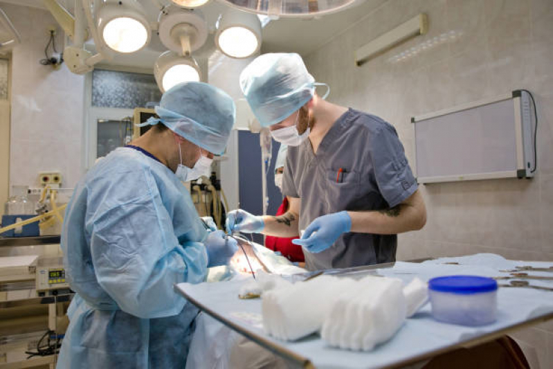 Cirurgia para Castrar Cachorro Vila Pompeia - Cirurgia Ortopédica Veterinária