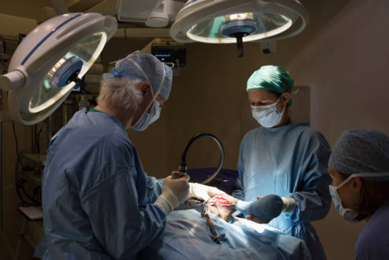 Cirurgia Ruptura Ligamento Cruzado Cães Marcar Lapa - Cirurgia Ortopédica Veterinária