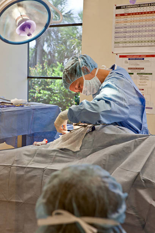 Clínica Que Faz Cirurgia Abdominal Veterinária Higienópolis - Cirurgia em Animais de Pequeno Porte