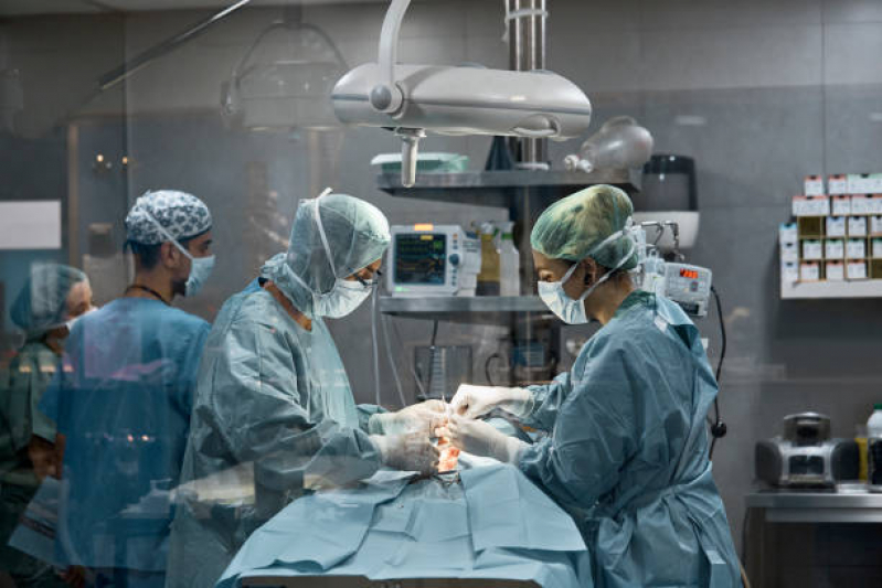 Clínica Que Faz Cirurgia Oncologica Veterinaria Vila Madalena - Cirurgia Ortopédica Veterinária