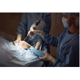 cirurgia abdominal veterinária Faria Lima