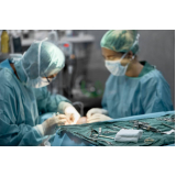 cirurgia oncologica veterinaria marcar Barra Funda