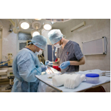 cirurgia reconstrutiva veterinária Jardim Maristela