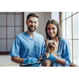 clinica exames veterinarios Vila Deodoro