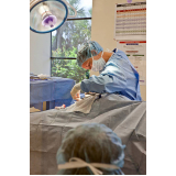 clínica que faz cirurgia de castraçao de cachorro Vila Cordeiro