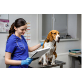 clinica veterinaria com ultrassom telefone Vila Deodoro