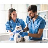 clinica veterinaria especializada em gatos telefone Real Parque
