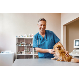 endereço de clinica cirurgica veterinaria Oscar Freire