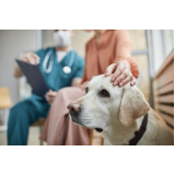 endereço de clinica veterinaria com ultrassom Chácara Inglesa