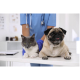 onde agendar medico veterinario neurologista Boque da Saúde