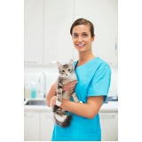 onde agendar veterinário alergista para gatos Interlagos