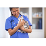 onde marcar veterinarios especialistas em gatos Jardim Everest