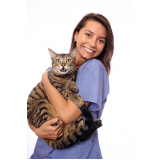 veterinario especializado em felinos Vila Cruzeiro