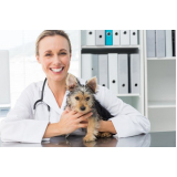 veterinário nutrólogo Socorro