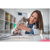 veterinário para gato agendar Sé