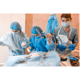 cirurgia de hernia em caes marcar Ibirapuera