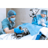 clínica que faz cirurgia de hernia em caes Bairro do Limão