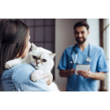 onde marcar veterinário para gato 24 horas Indianópolis