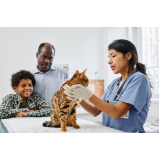 veterinário para castrar gato agendar Ibirapuera