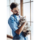 veterinário para gato 24 horas agendar Jardim Guedala